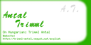 antal trimml business card